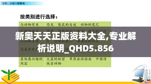 新奥天天正版资料大全,专业解析说明_QHD5.856