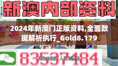 2024年新澳门正版资料,全面数据解析执行_Gold8.179