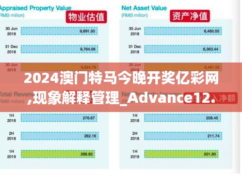 2024澳门特马今晚开奖亿彩网,现象解释管理_Advance12.805