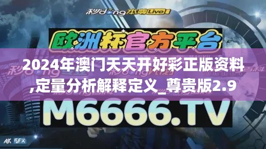 2024年澳门天天开好彩正版资料,定量分析解释定义_尊贵版2.982