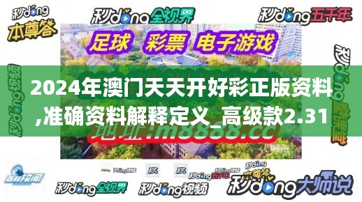 2024年澳门天天开好彩正版资料,准确资料解释定义_高级款2.318