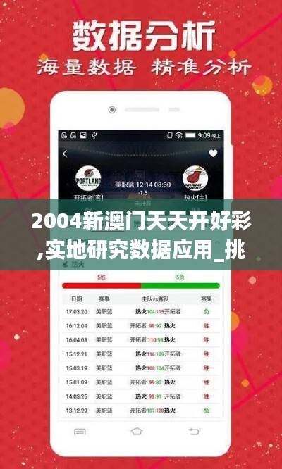 2004新澳门天天开好彩,实地研究数据应用_挑战款15.704