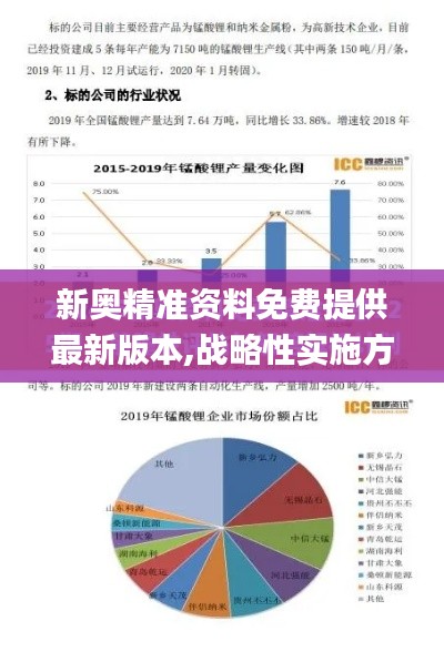 新奥精准资料免费提供最新版本,战略性实施方案优化_V9.873