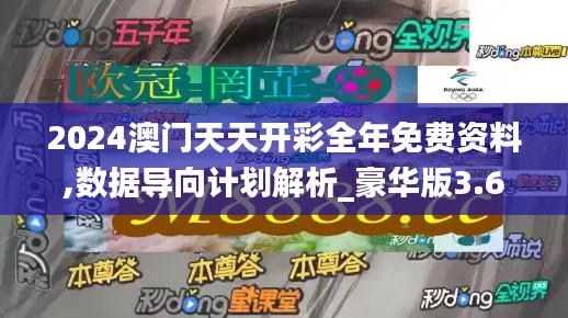 2024澳门天天开彩全年免费资料,数据导向计划解析_豪华版3.642