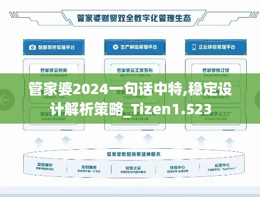 管家婆2024一句话中特,稳定设计解析策略_Tizen1.523