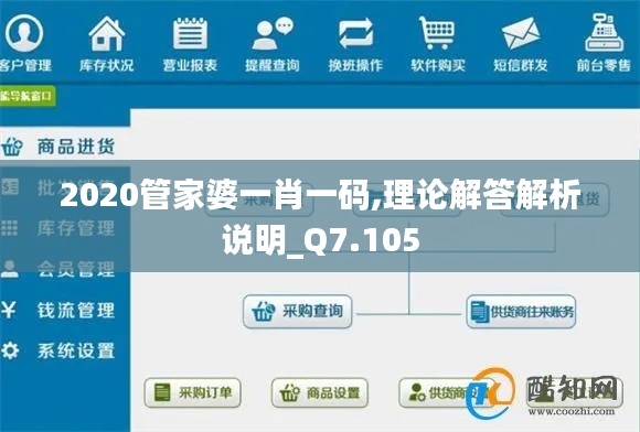 2020管家婆一肖一码,理论解答解析说明_Q7.105