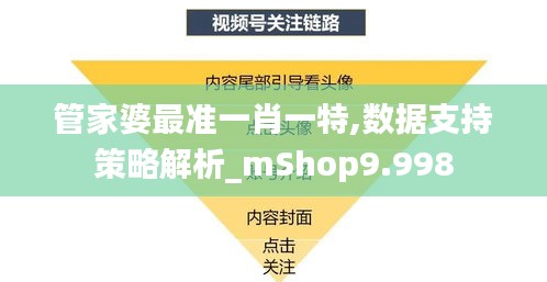 管家婆最准一肖一特,数据支持策略解析_mShop9.998