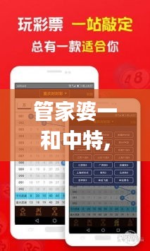 管家婆一和中特,权威诠释方法_Essential9.579