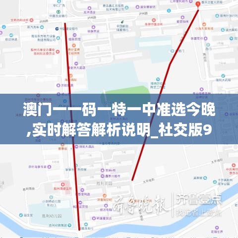 澳门一一码一特一中准选今晚,实时解答解析说明_社交版9.903