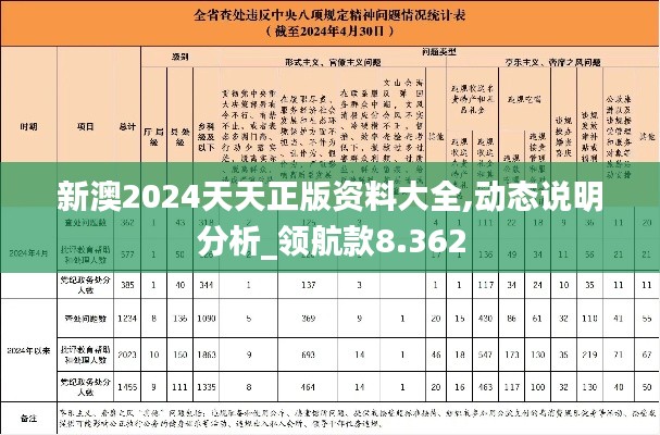 新澳2024天天正版资料大全,动态说明分析_领航款8.362