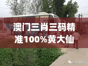 澳门三肖三码精准100%黄大仙,连贯评估方法_桌面款17.370