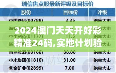 2024澳门天天开好彩精准24码,实地计划验证策略_Holo5.354