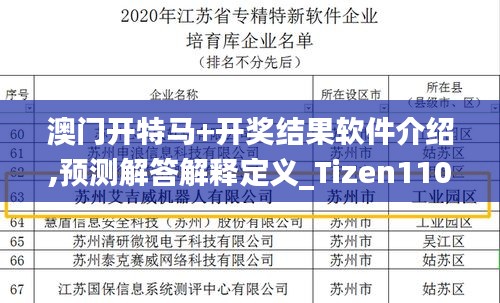 澳门开特马+开奖结果软件介绍,预测解答解释定义_Tizen110.199