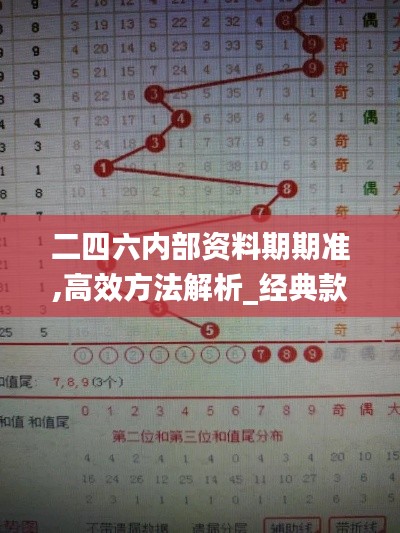 二四六内部资料期期准,高效方法解析_经典款6.533