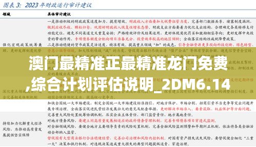 澳门最精准正最精准龙门免费,综合计划评估说明_2DM6.141