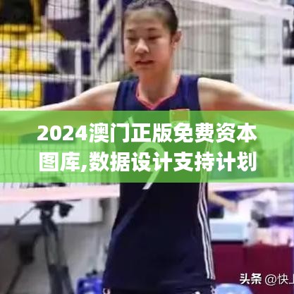 2024澳门正版免费资本图库,数据设计支持计划_T3.548