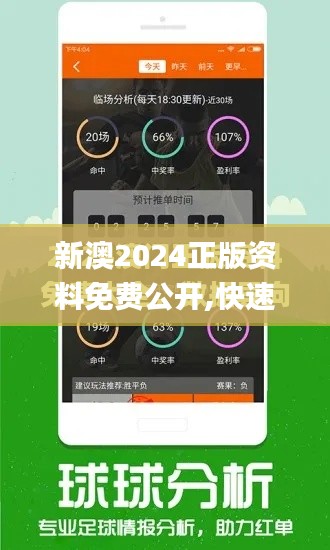 新澳2024正版资料免费公开,快速解答计划设计_工具版6.508