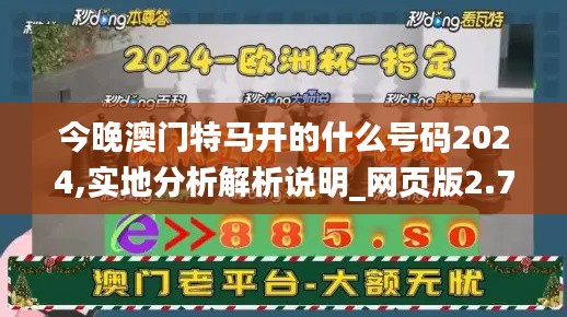 今晚澳门特马开的什么号码2024,实地分析解析说明_网页版2.710