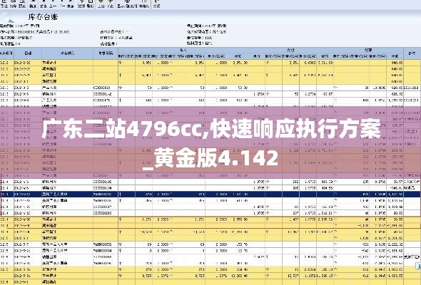 广东二站4796cc,快速响应执行方案_黄金版4.142