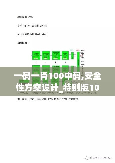 一码一肖100中码,安全性方案设计_特别版10.257