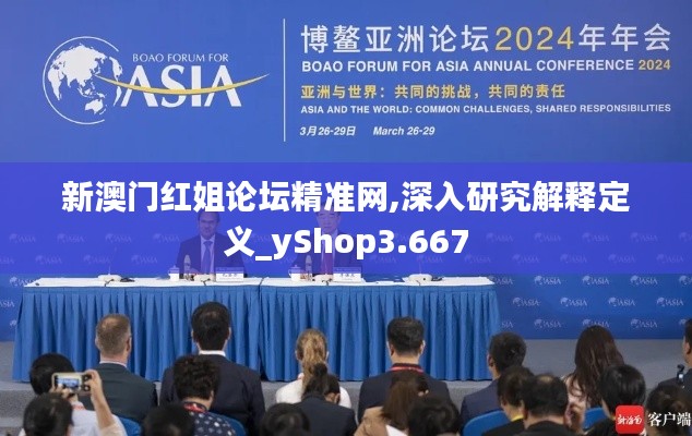 新澳门红姐论坛精准网,深入研究解释定义_yShop3.667