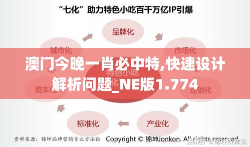 澳门今晚一肖必中特,快速设计解析问题_NE版1.774