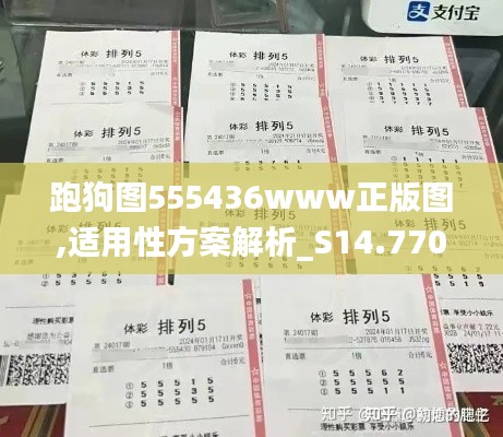 跑狗图555436www正版图,适用性方案解析_S14.770