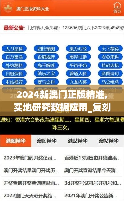 2024新澳门正版精准,实地研究数据应用_复刻版13.776