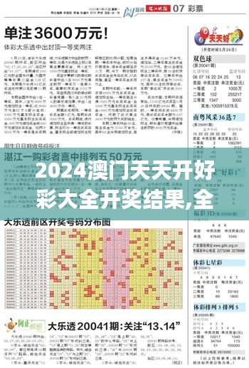 2024澳门天天开好彩大全开奖结果,全面理解执行计划_W1.893