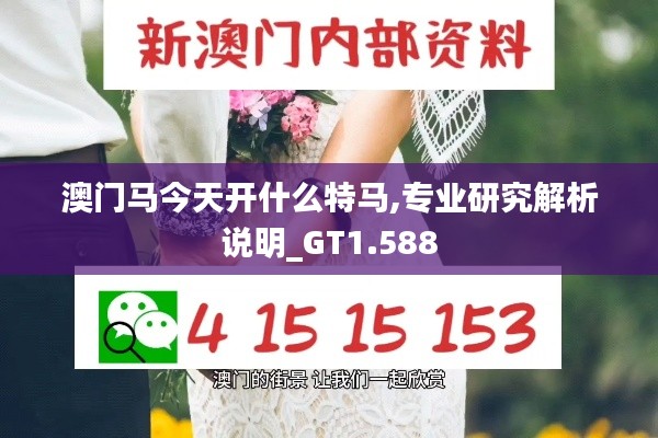 澳门马今天开什么特马,专业研究解析说明_GT1.588