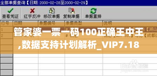 管家婆一票一码100正确王中王,数据支持计划解析_VIP7.180