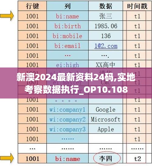 新澳2024最新资料24码,实地考察数据执行_OP10.108