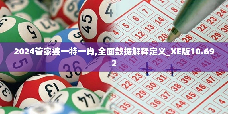 2024管家婆一特一肖,全面数据解释定义_XE版10.692