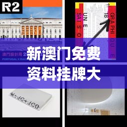 新澳门免费资料挂牌大全,持续设计解析_VIP7.218