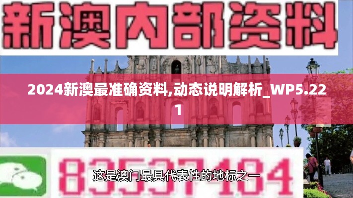 2024新澳最准确资料,动态说明解析_WP5.221