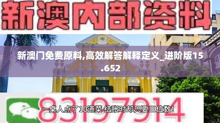 新澳门免费原料,高效解答解释定义_进阶版15.652