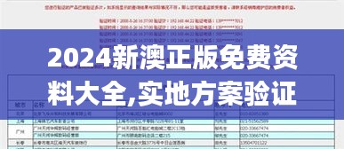 2024新澳正版免费资料大全,实地方案验证策略_FHD3.934