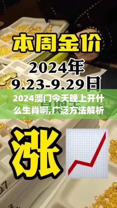 2024澳门今天晚上开什么生肖啊,广泛方法解析说明_6DM9.592