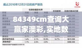 84349cm查询大赢家澳彩,实地数据评估解析_复古版3.313