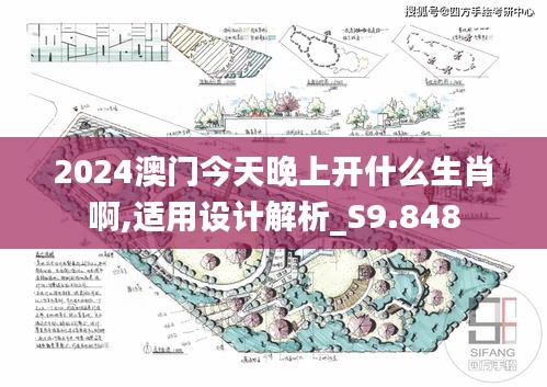 2024澳门今天晚上开什么生肖啊,适用设计解析_S9.848