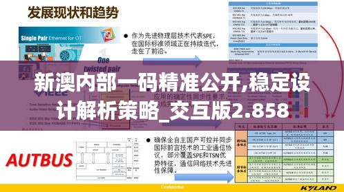 新澳内部一码精准公开,稳定设计解析策略_交互版2.858