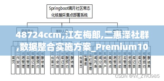 48724ccm,江左梅郎,二惠泽社群,数据整合实施方案_Premium10.359