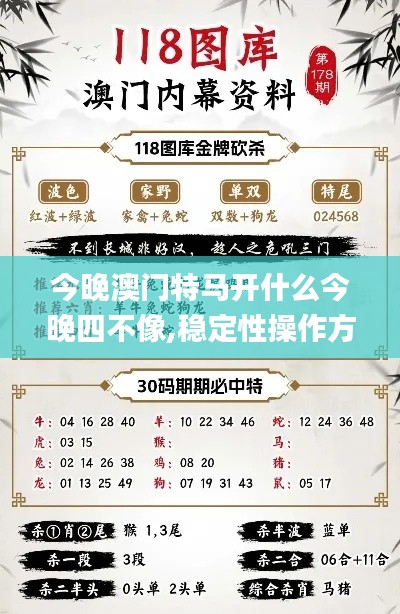 今晚澳门特马开什么今晚四不像,稳定性操作方案分析_Max2.577