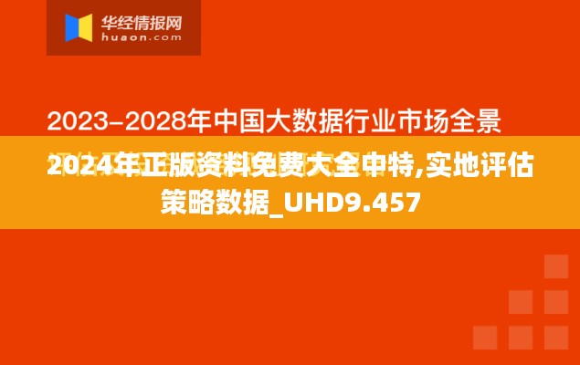 2024年正版资料免费大全中特,实地评估策略数据_UHD9.457