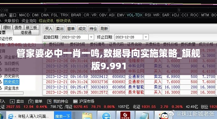 管家婆必中一肖一鸣,数据导向实施策略_旗舰版9.991