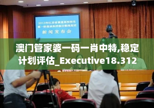 澳门管家婆一码一肖中特,稳定计划评估_Executive18.312