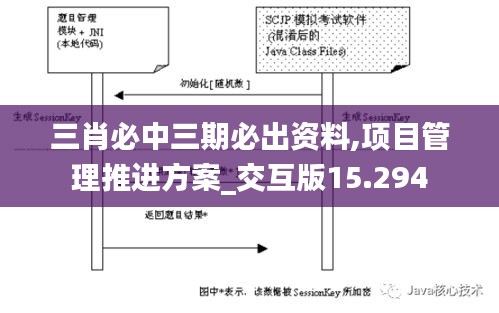 三肖必中三期必出资料,项目管理推进方案_交互版15.294