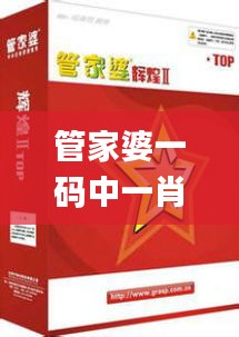 管家婆一码中一肖,创新性执行计划_uShop10.396