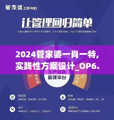 2024管家婆一肖一特,实践性方案设计_OP6.984