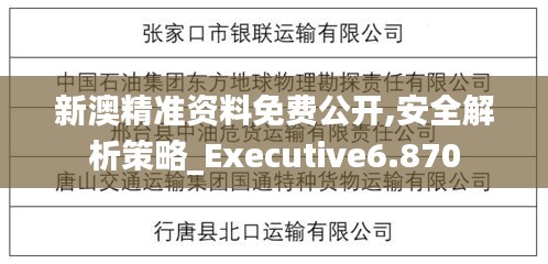 新澳精准资料免费公开,安全解析策略_Executive6.870